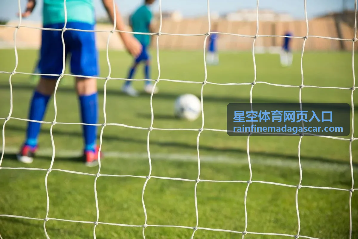 星空体育网页入口访问路径示意